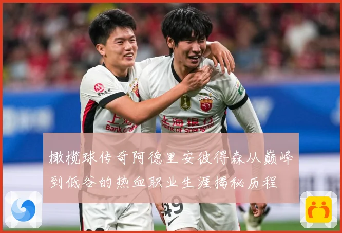 橄榄球传奇阿德里安彼得森从巅峰到低谷的热血职业生涯揭秘历程